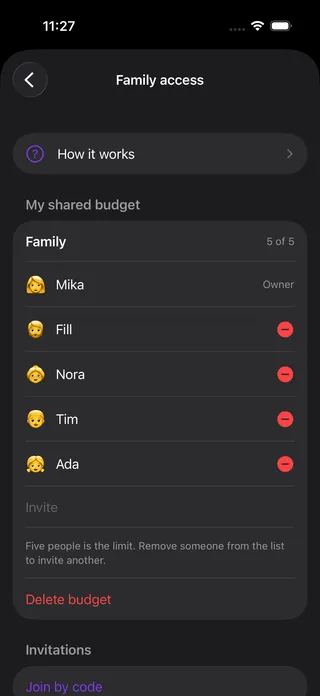A shared Your Money budget with several members on one account